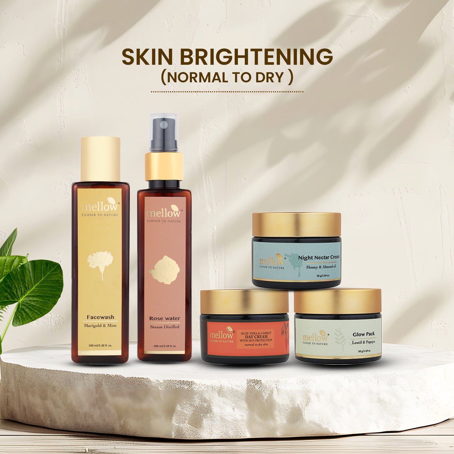 SKIN BRIGHTENING (NORMAL TO DRY)